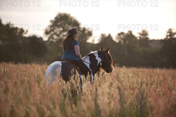 Woman riding an Irish Tinker across a meadow