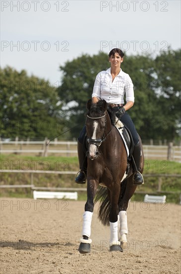 Woman trotting on a Hanoverian horse