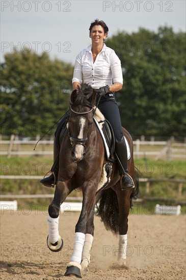 Woman riding a Hanoverian horse