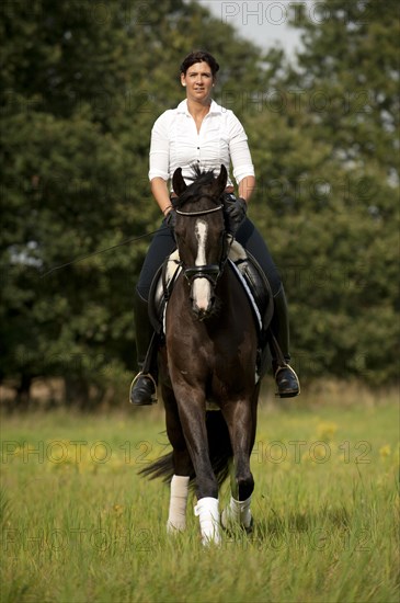 Woman trotting across a meadow on a Hanoverian horse