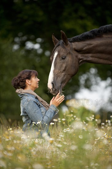 Woman with a Hanoverian horse in a meadow