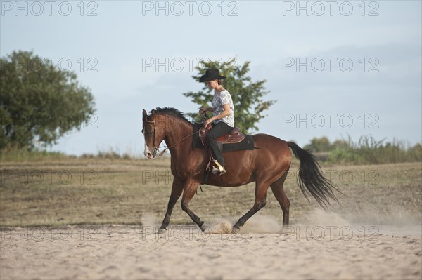 Woman riding a galloping Quarter Horse