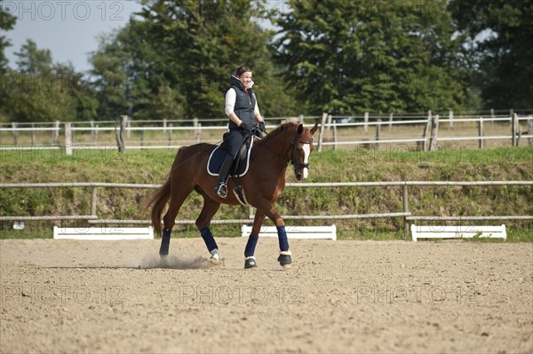 Woman riding a galloping Hanoverian horse