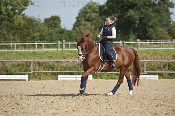 Woman riding a galloping Hanoverian horse