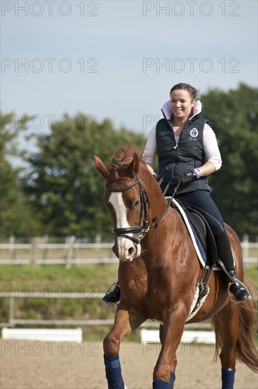 Woman riding a Hanoverian horse