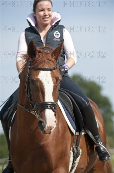 Woman riding a Hanoverian horse