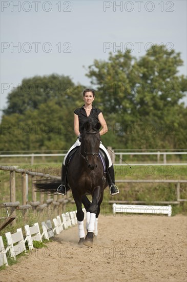 Woman riding a trotting Holsteiner horse