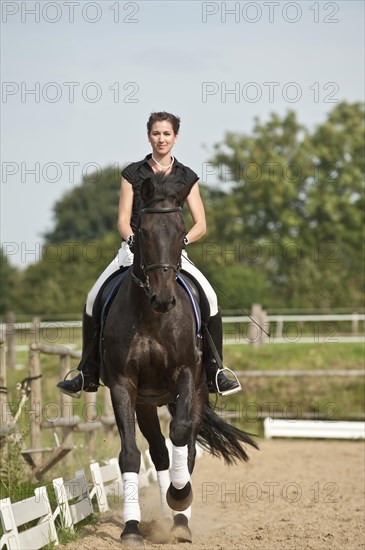 Woman riding a galloping Holsteiner horse