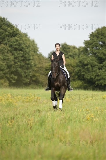 Woman riding a galloping Holsteiner horse across a meadow