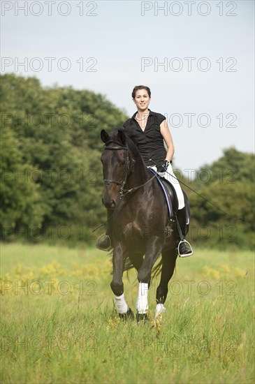 Woman riding a galloping Holsteiner horse across a meadow