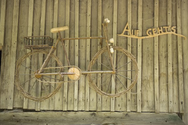 Bicycle from branches and wood