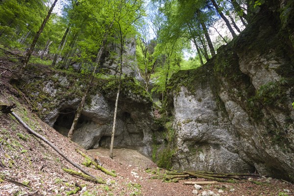 Grotto in the Danube Valley below Burg Wildenstein Castle