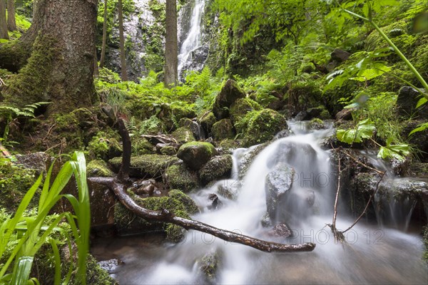 Burgbach stream with Burgbach Waterfall at Schapbach