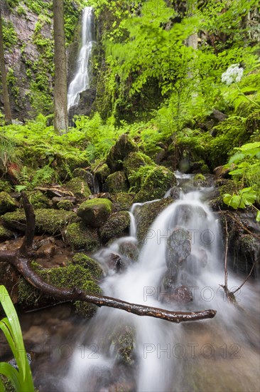 Burgbach stream with Burgbach Waterfall near Schapbach