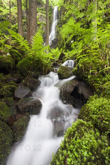 Burgbach stream with Burgbach Waterfall near Schapbach