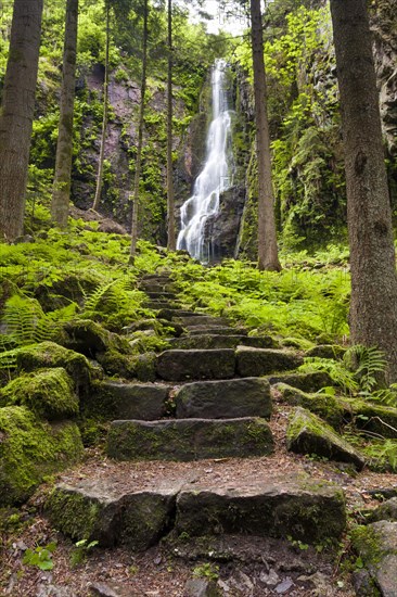 Stone stairs at Burgbach Waterfall near Schapbach