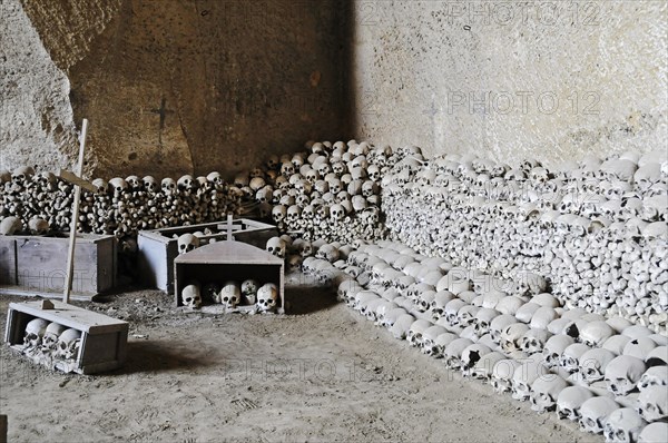 Skulls