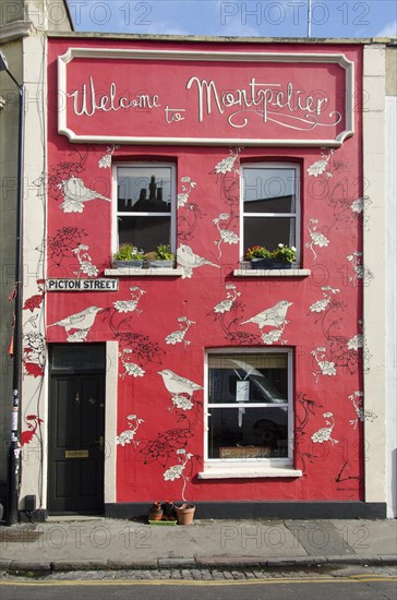 Facade of house painted with birds and flowers