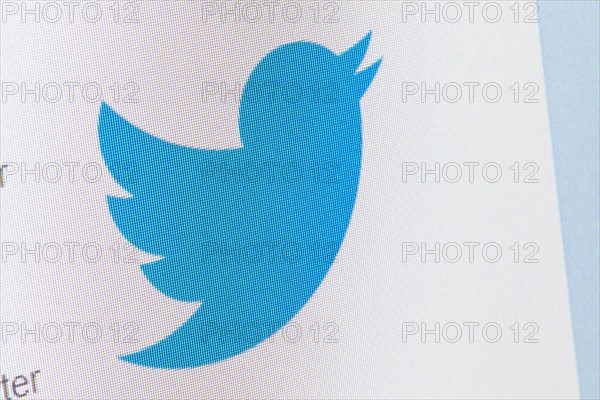 Twitter logo