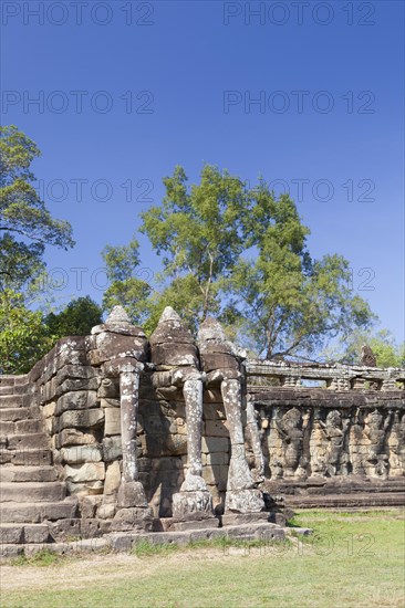 Elephant trunks at the central stairwell of the Terrace of the Elephants