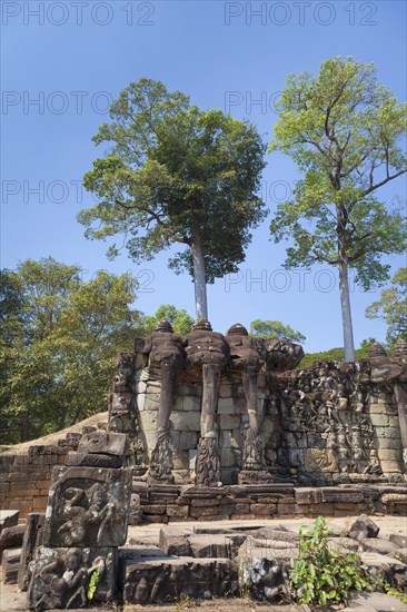 Bas-reliefs at the Terrace of the Elephants