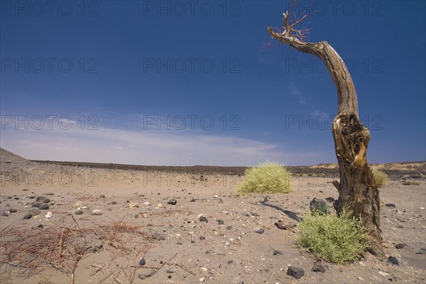 Landscape shaped by flood basalts on the road between Semera