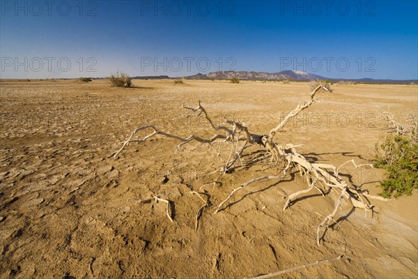 Desert landscape in the Danakil Depression
