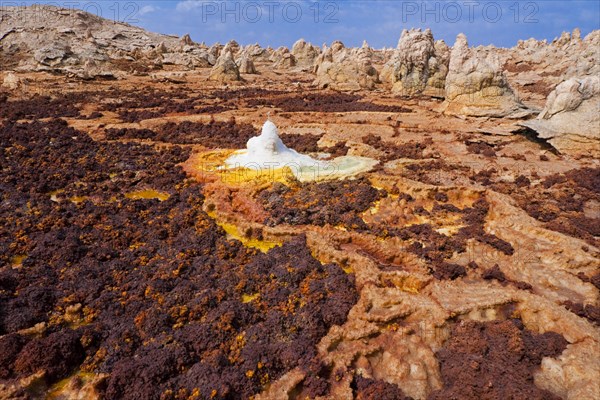 Landscape shaped by hydro-thermal activity at the Dallol volcano