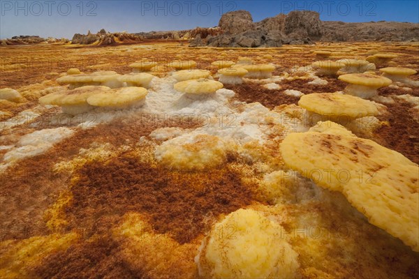 Landscape shaped by hydro-thermal activity at the Dallol volcano