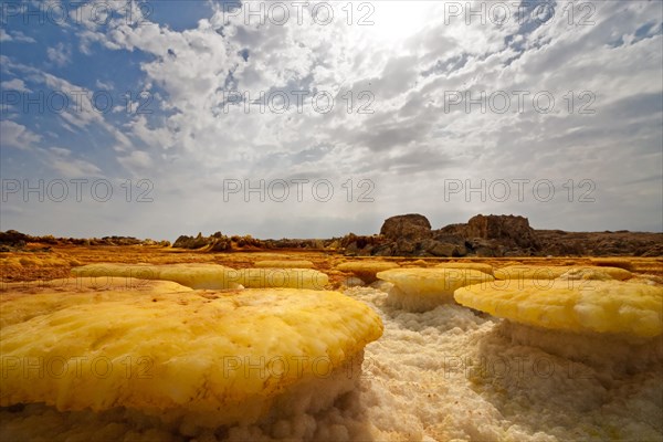 Landscape shaped by hydro-thermal activity at the Dallol volcano