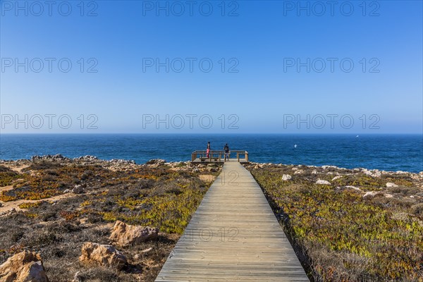 Wooden walkway to a lookout point