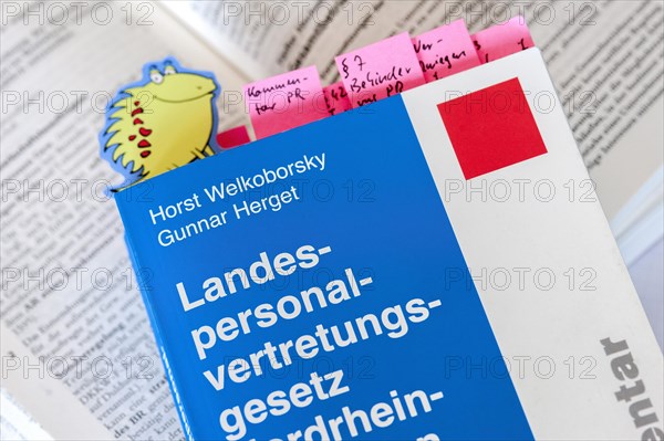 Book 'Landespersonalvertretungsgesetz'