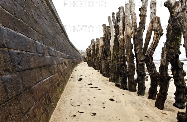 Oak trunks of the Plage du Sillon beach to protect the walls against the waves assault