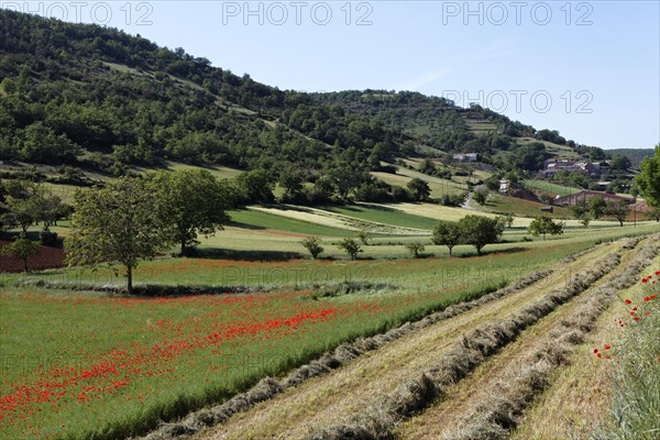 Agricultural landscape near Peyre
