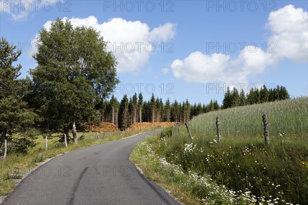 Country road near Grandrieu