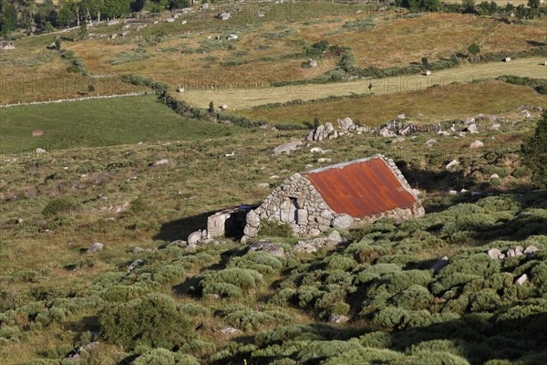 Old farm house