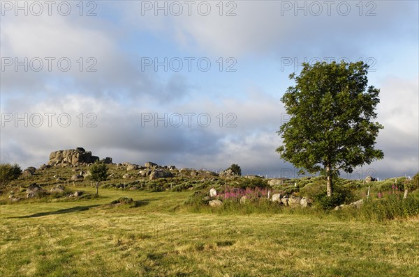 Landscape near Finiels