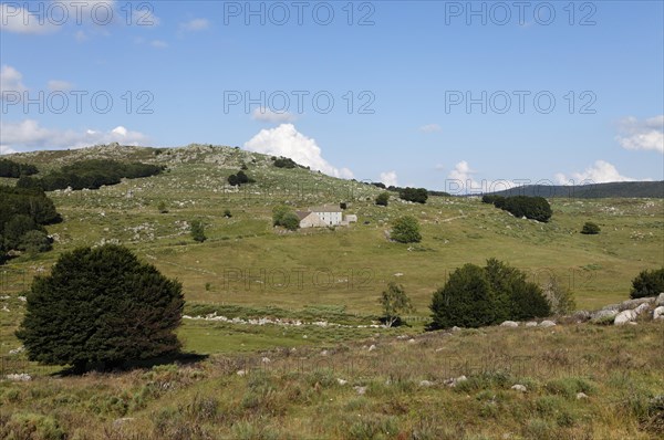 Landscape of Mont Lozere in Mas Camargues