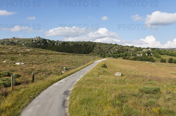 Road in the Causses and the Cevennes