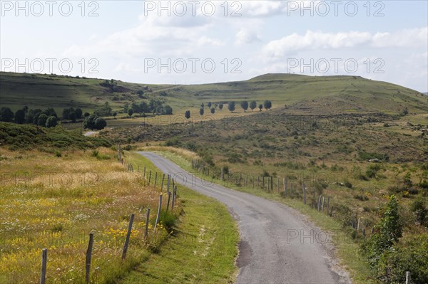 Landscape of Mont Lozere