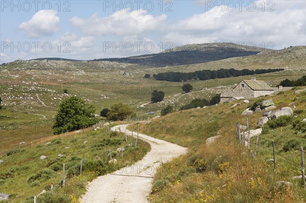 Landscape of Mont Lozère in Mas Camargues