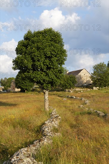 Hamlet of Bellecoste