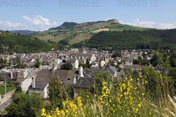 Town of Marvejols and the mountain Truc du Midi at back