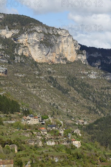 Gorges de la Jonte