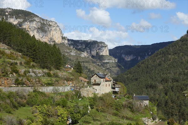 Gorges de la Jonte