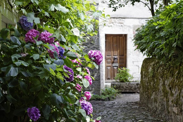 House entrance