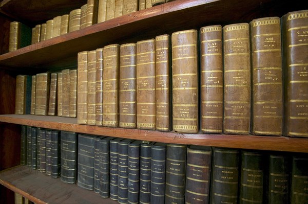 Shelves with volumes of old books