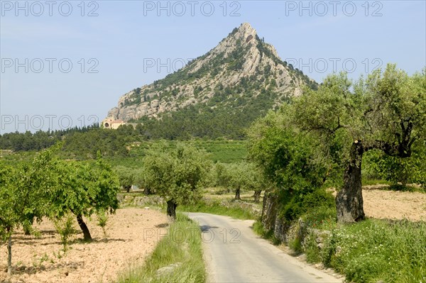 The Santa Barbara mountain and the Sant Salvador monastery