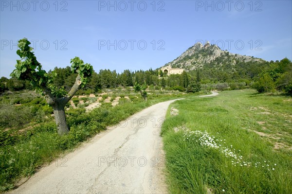 The Santa Barbara mountain and the Sant Salvador monastery