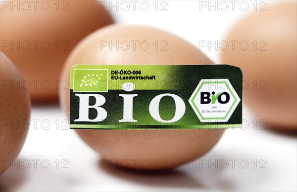 Hen's eggs with organic seal